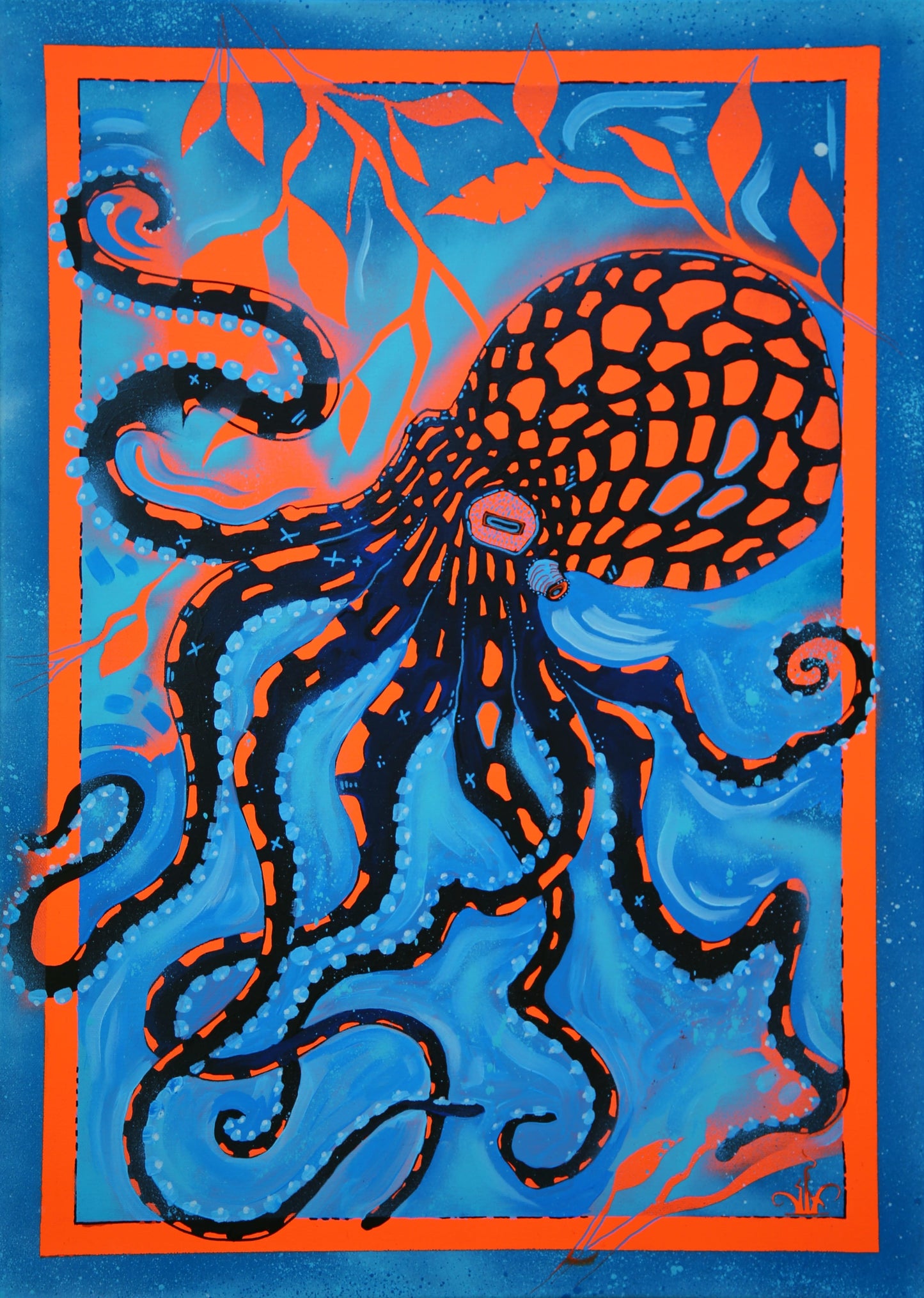 Octo