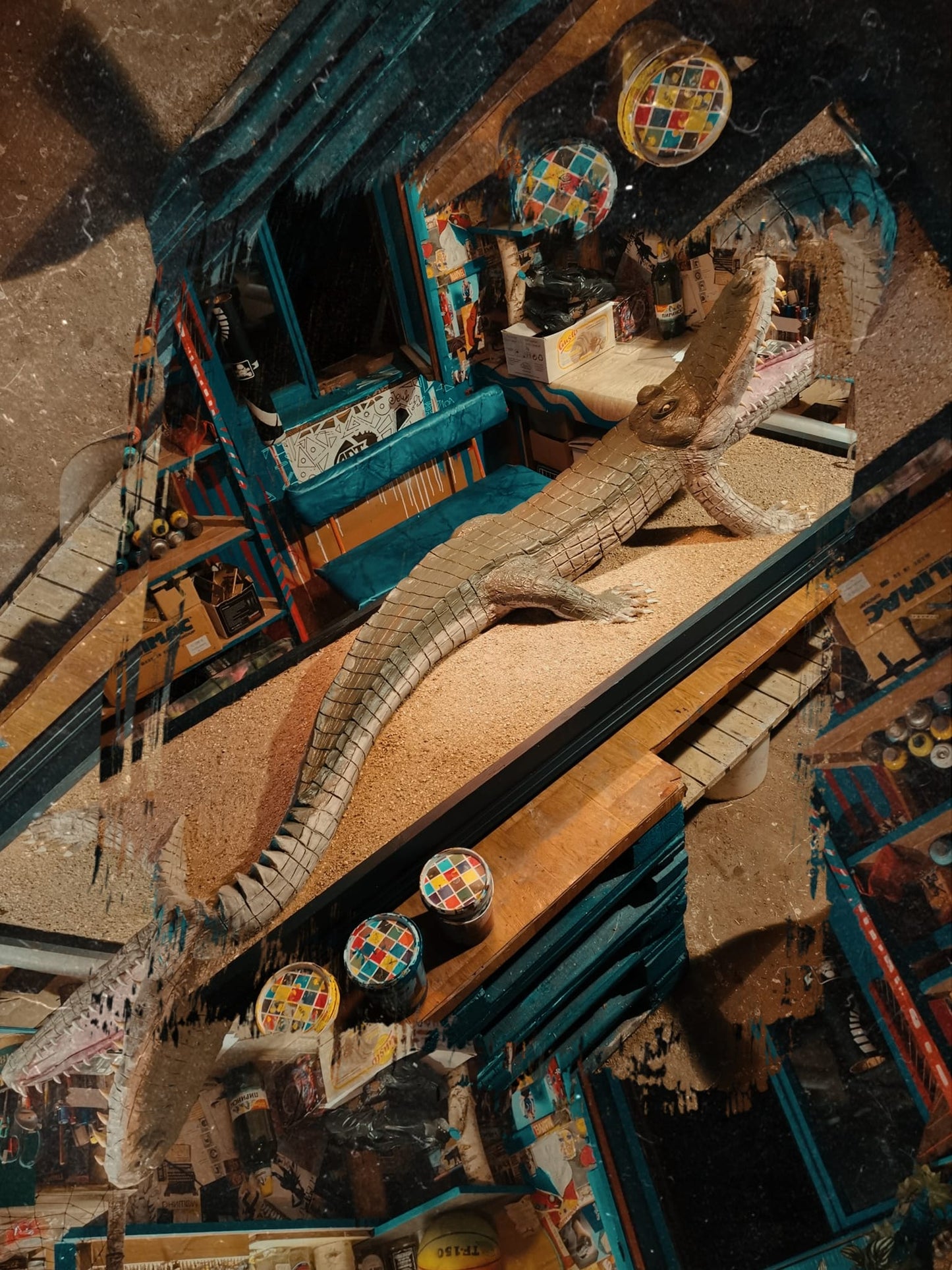 Alligator