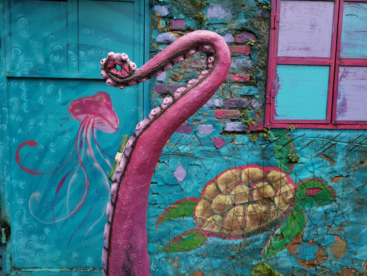 Octopus
