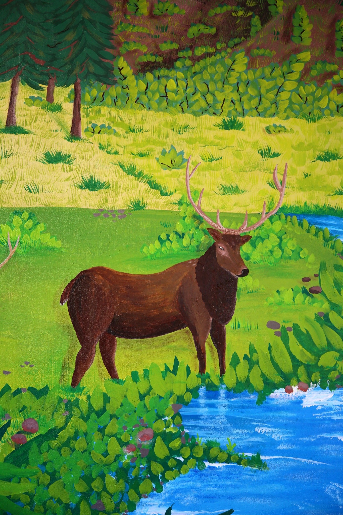 Deers