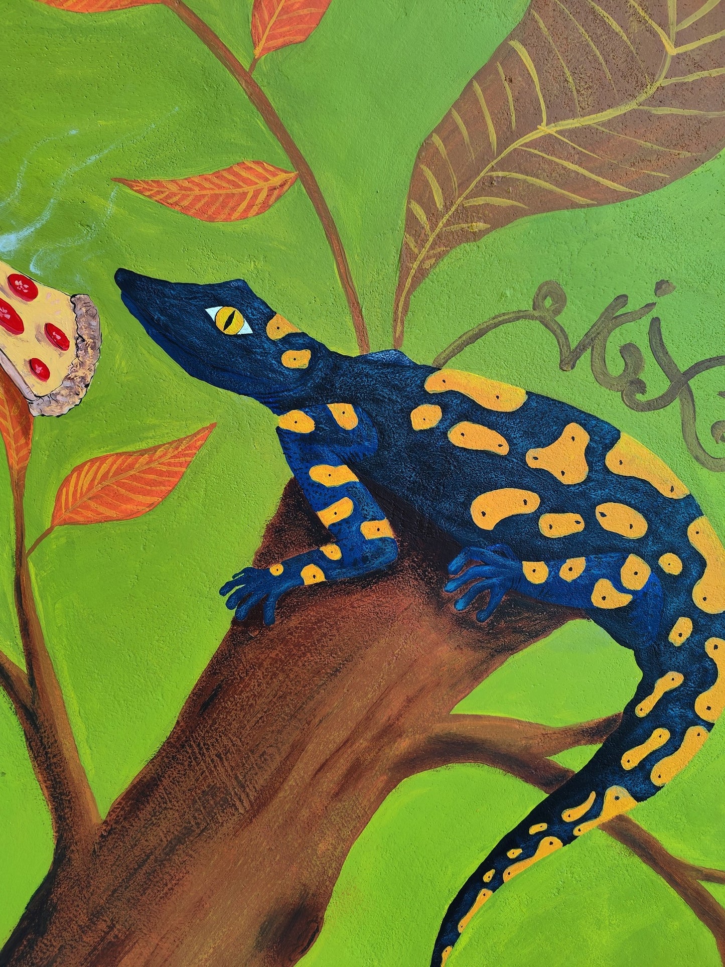 Fire Salamander
