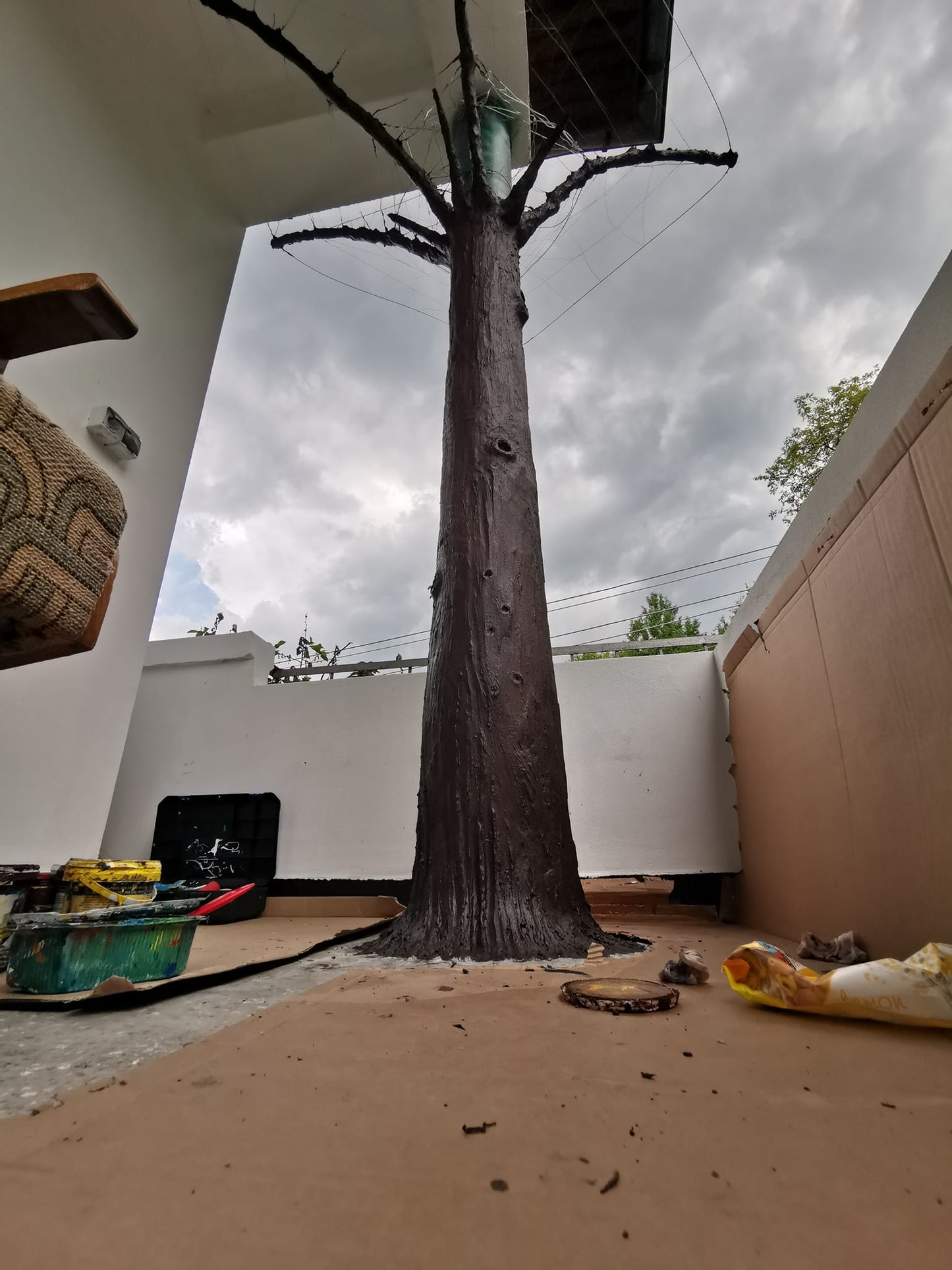Tree