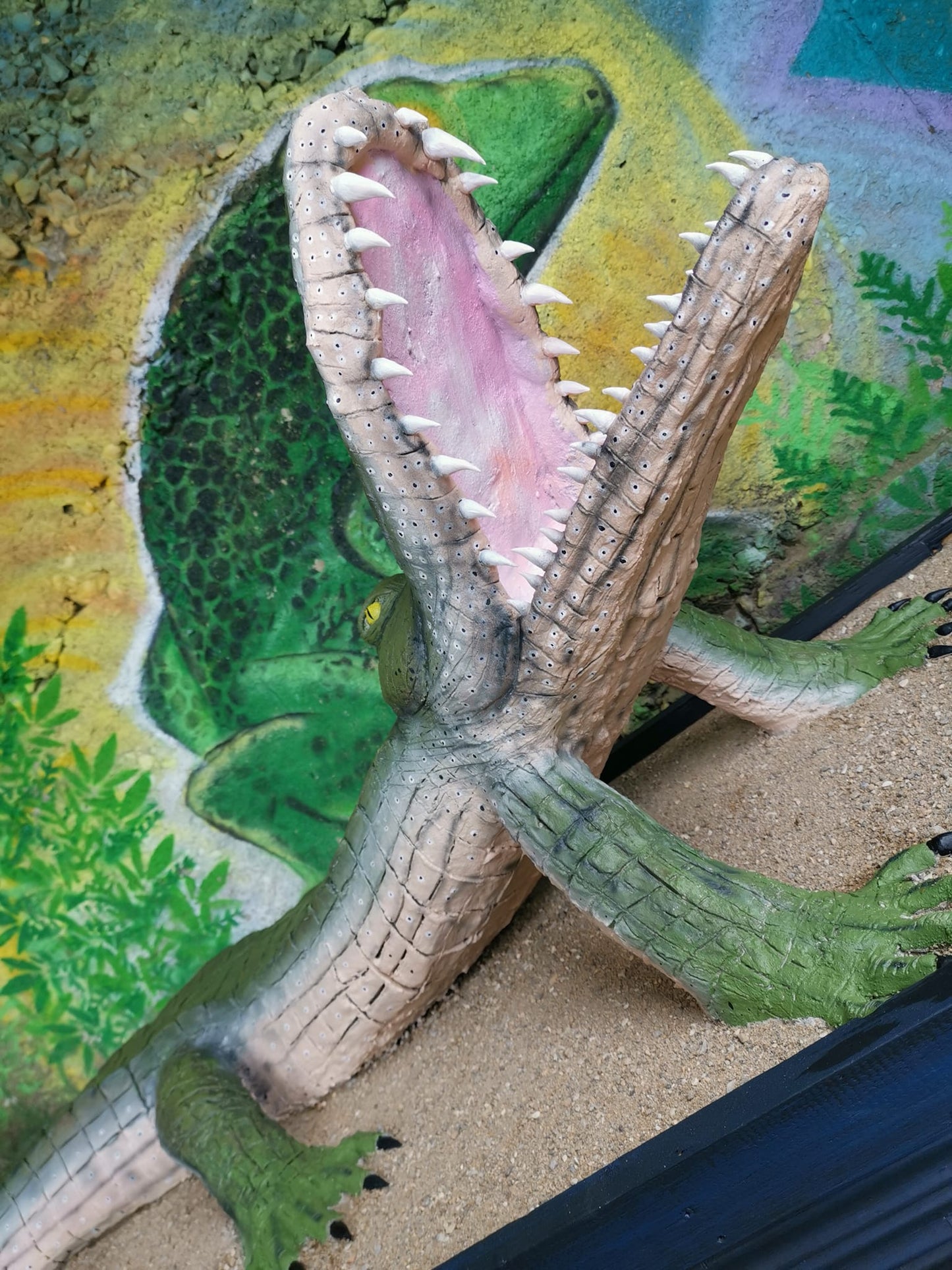Alligator