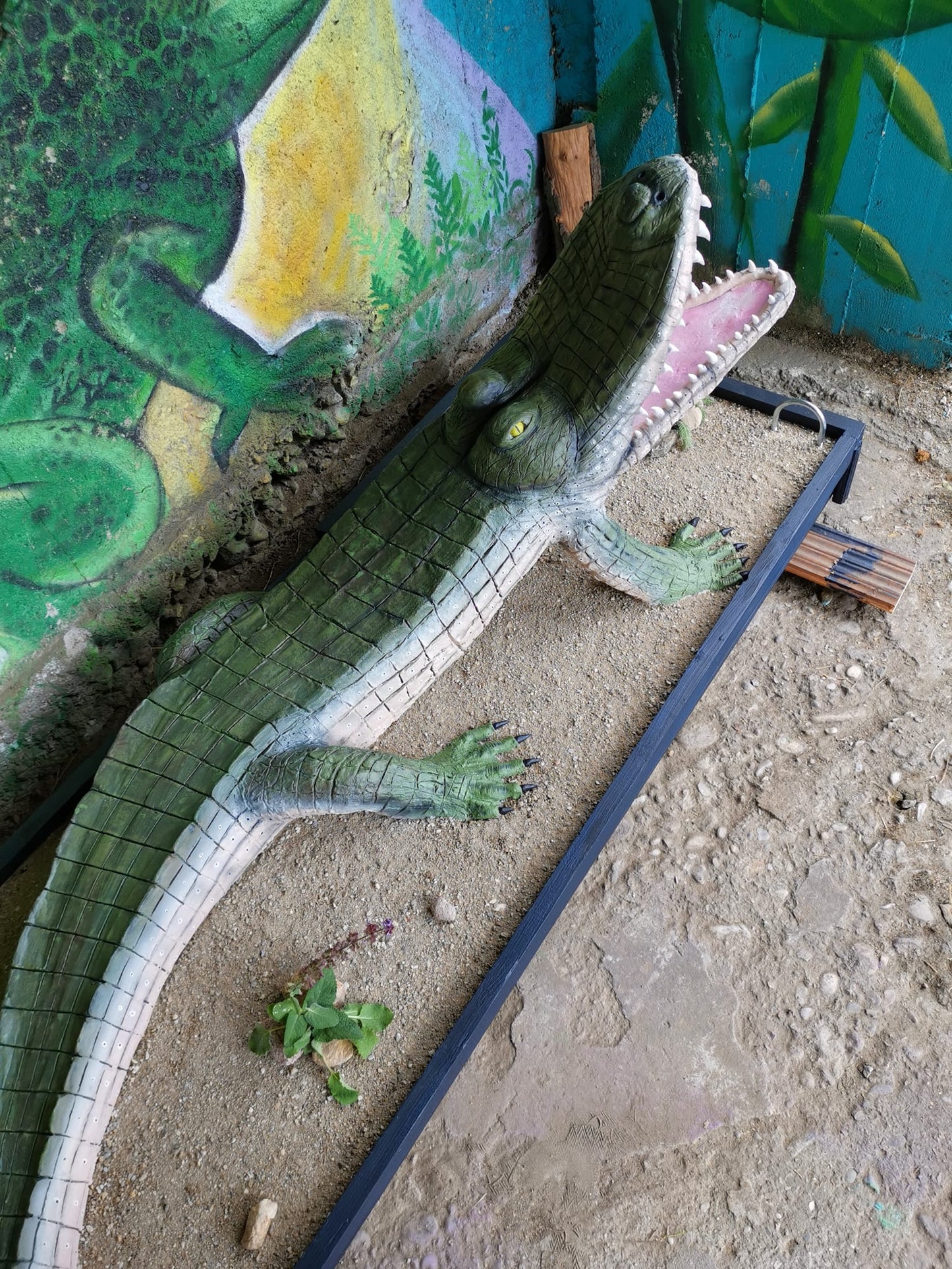 Alligator