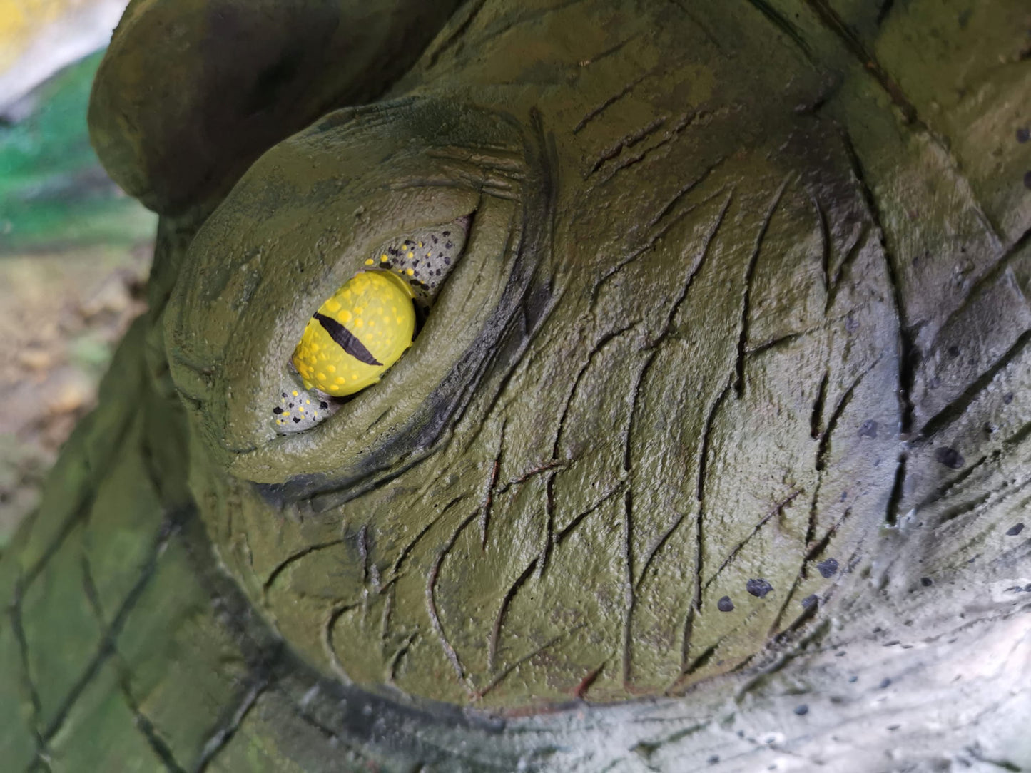 Alligator