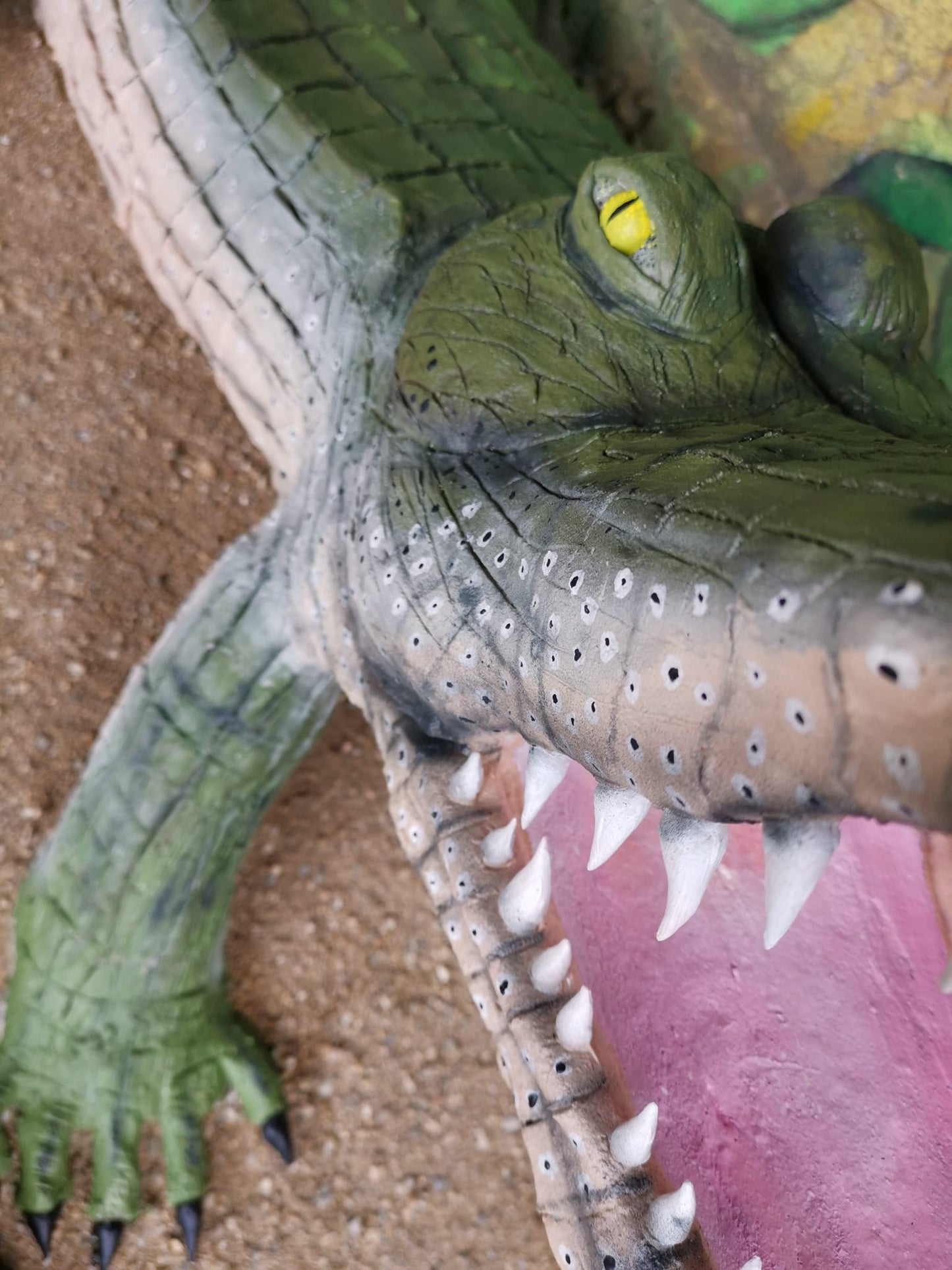 Alligator