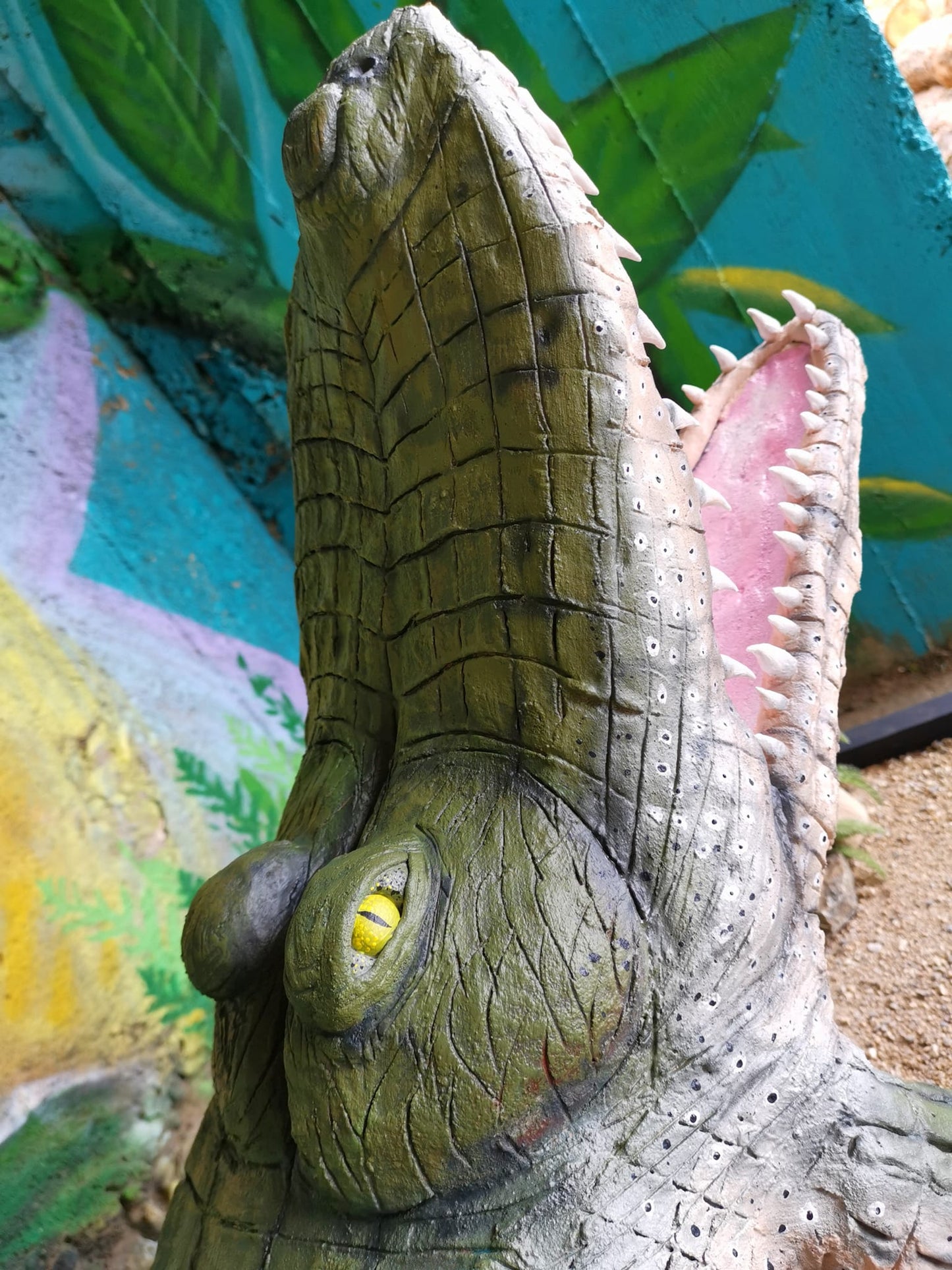 Alligator