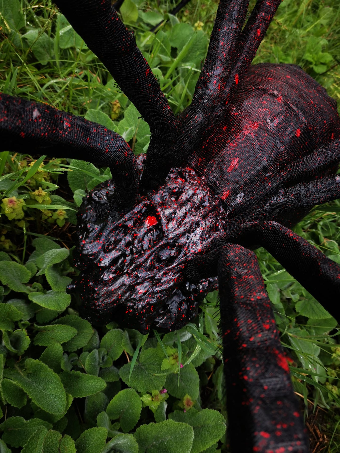 Spider