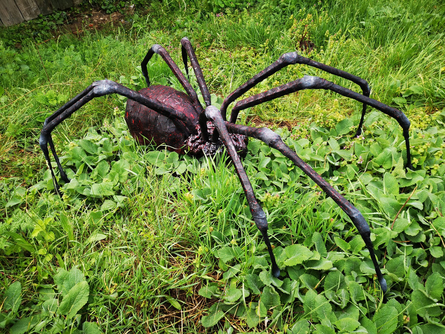 Spider