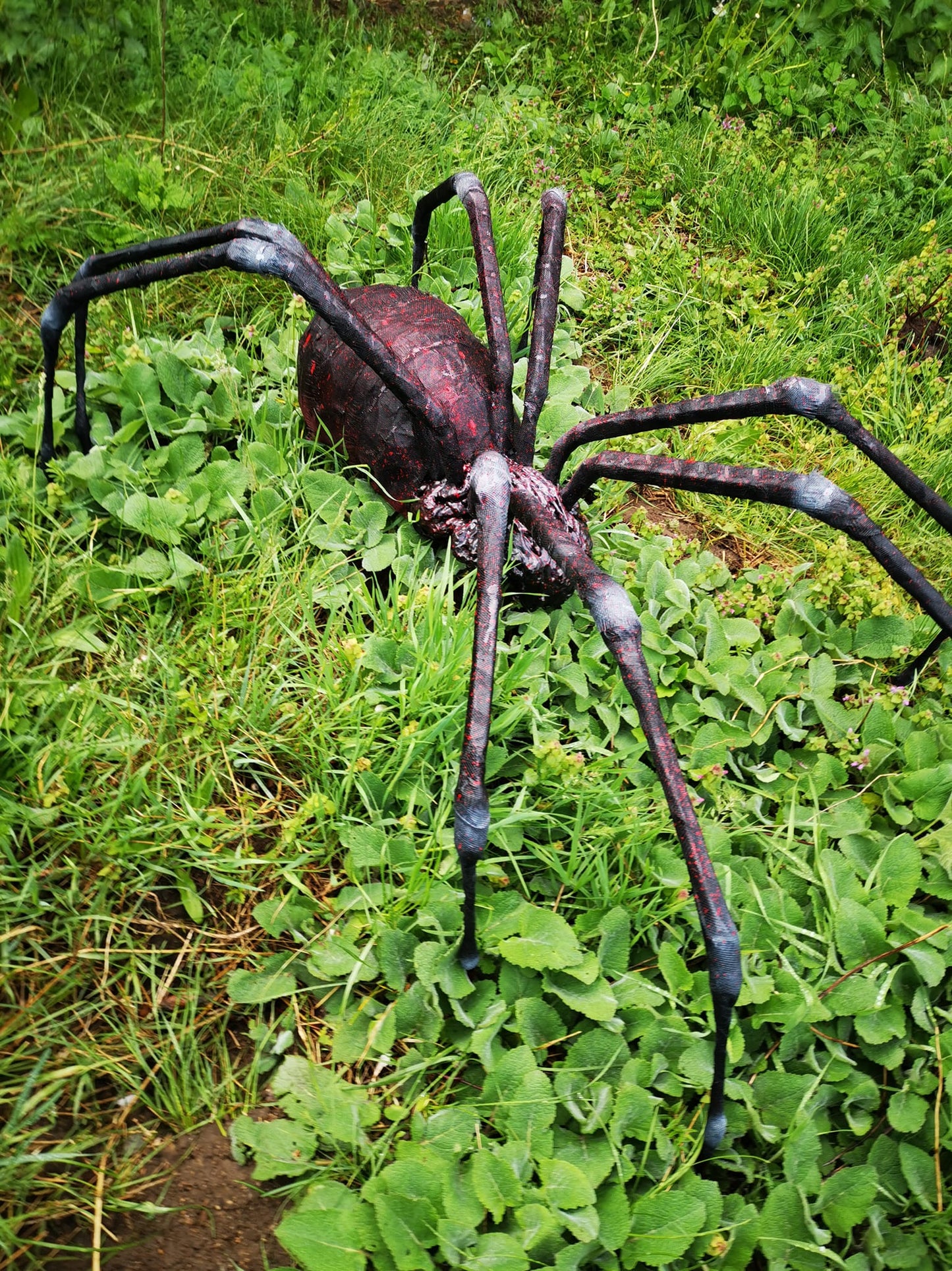 Spider