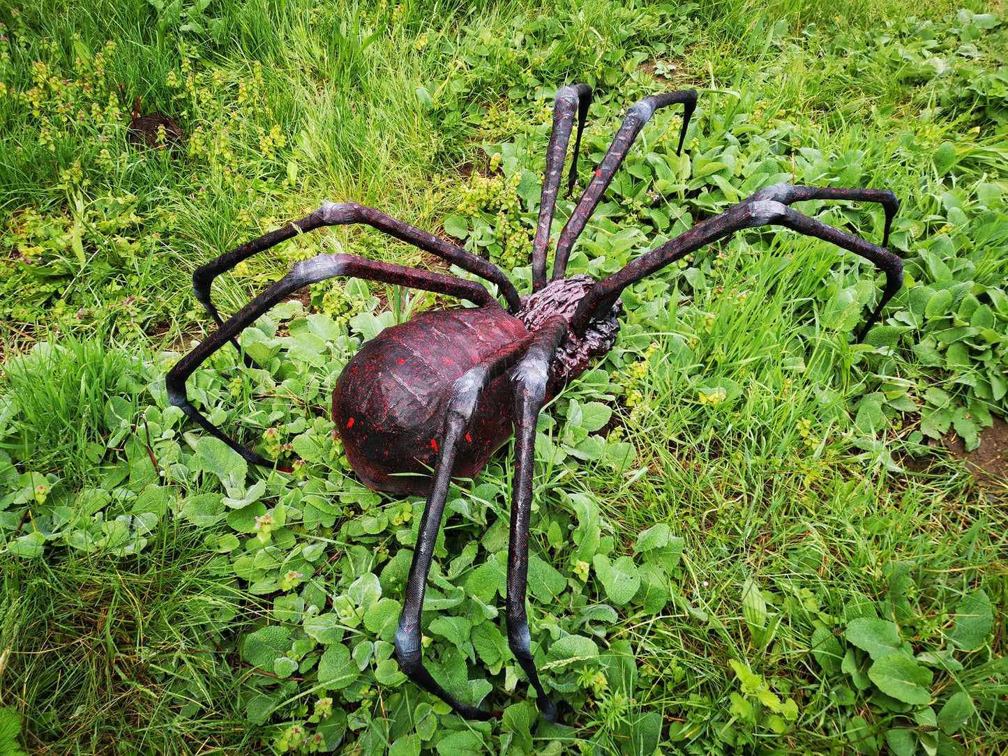 Spider