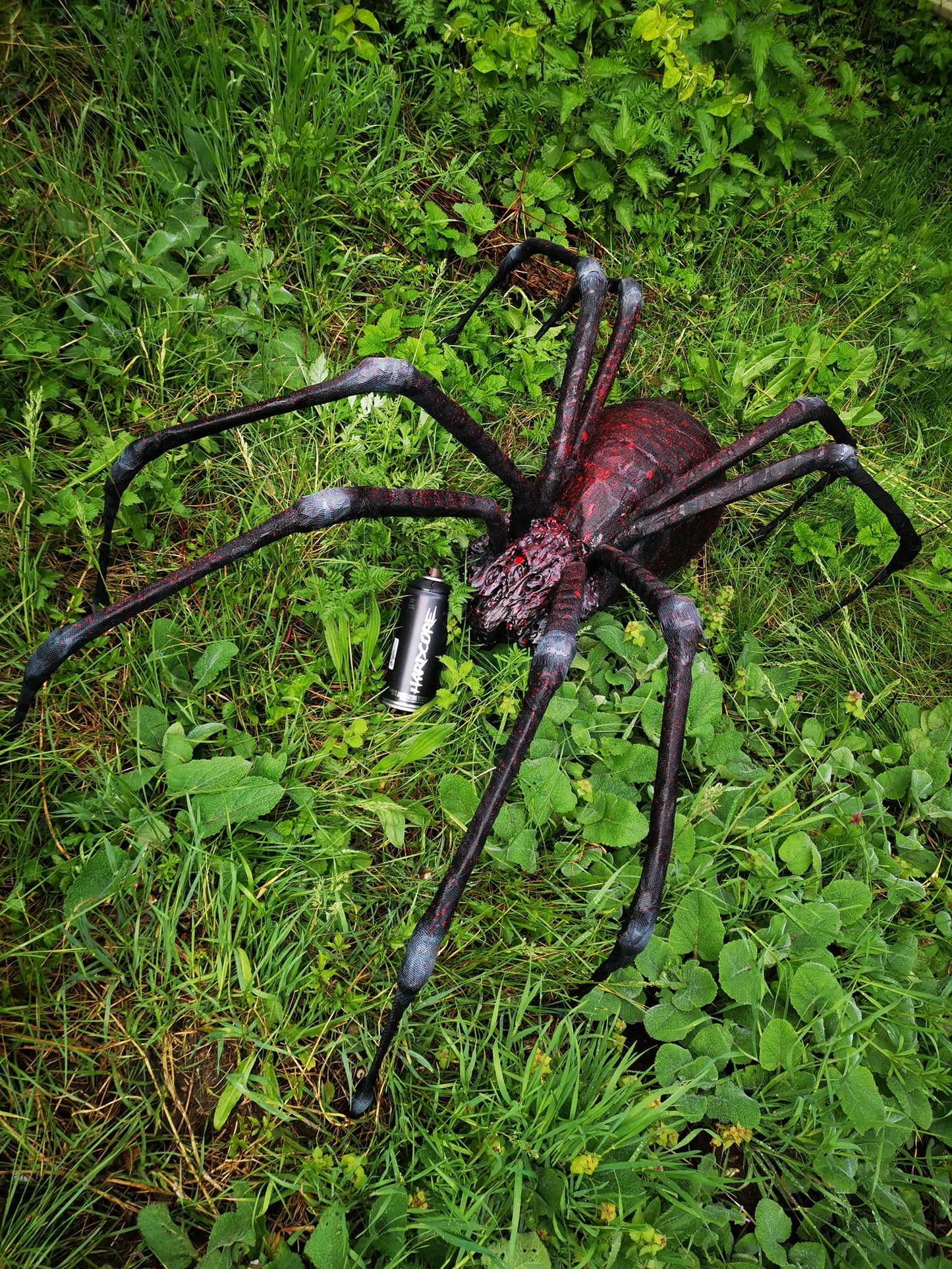 Spider