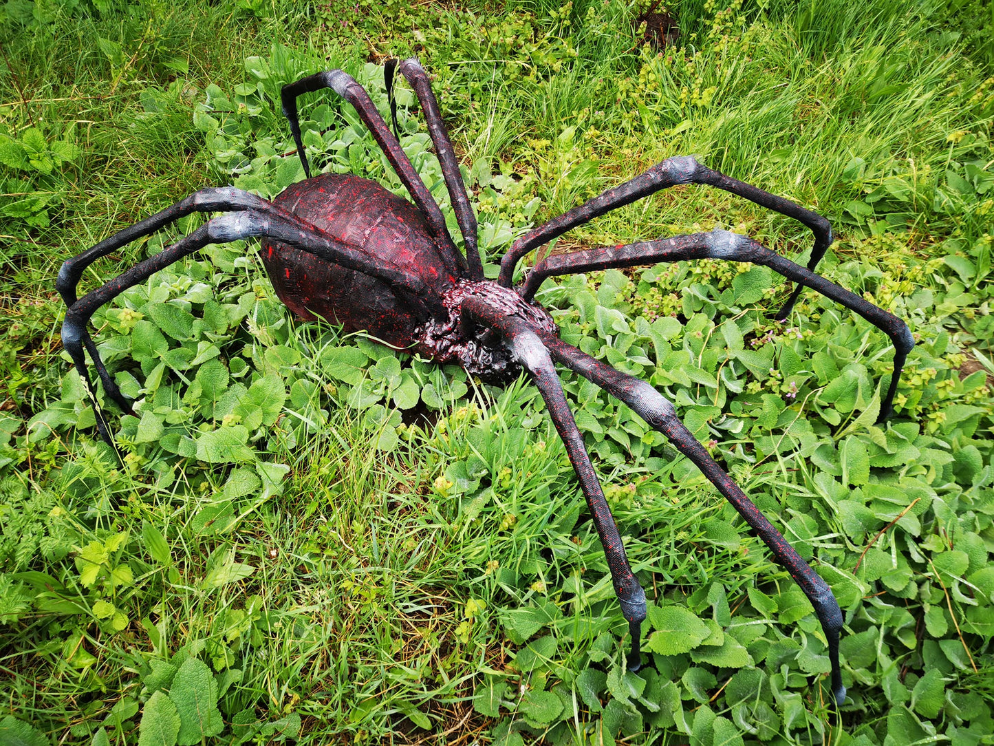 Spider