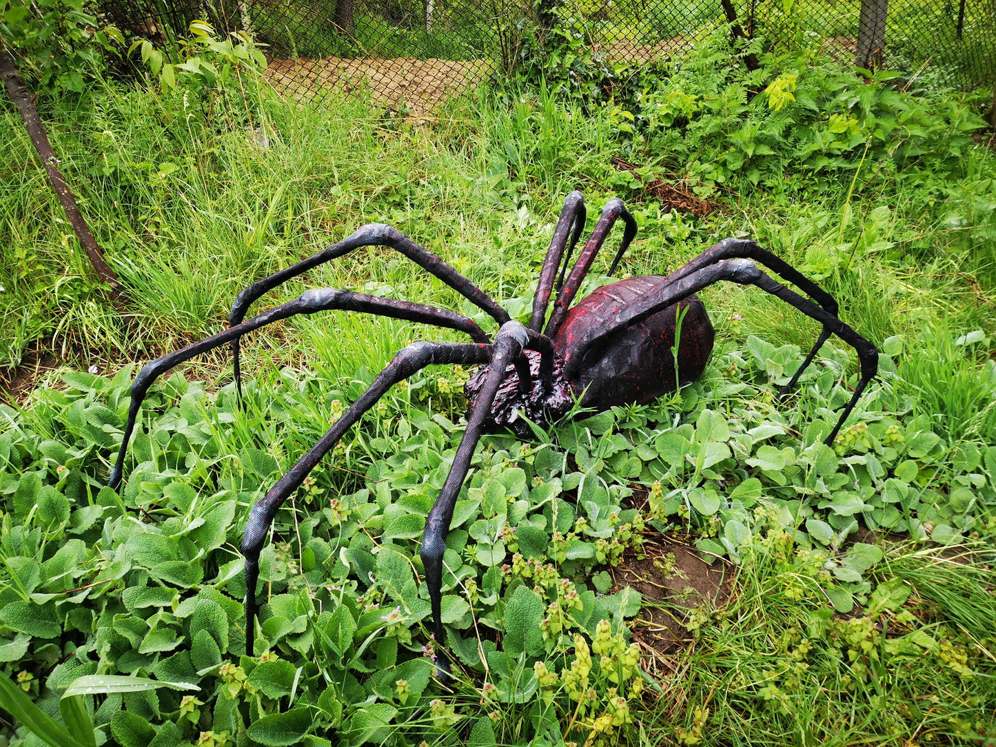 Spider