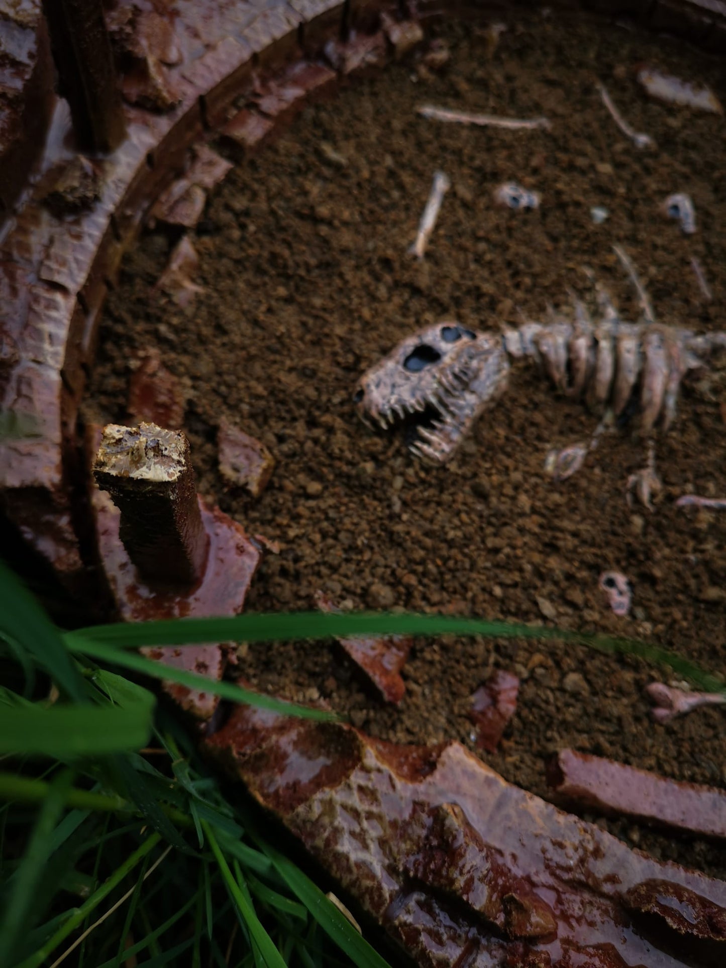 Bones