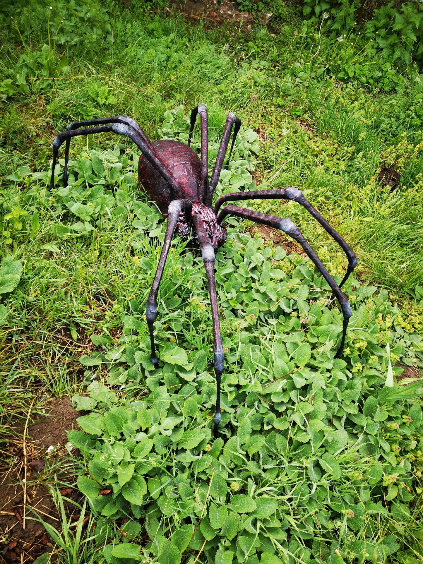 Spider