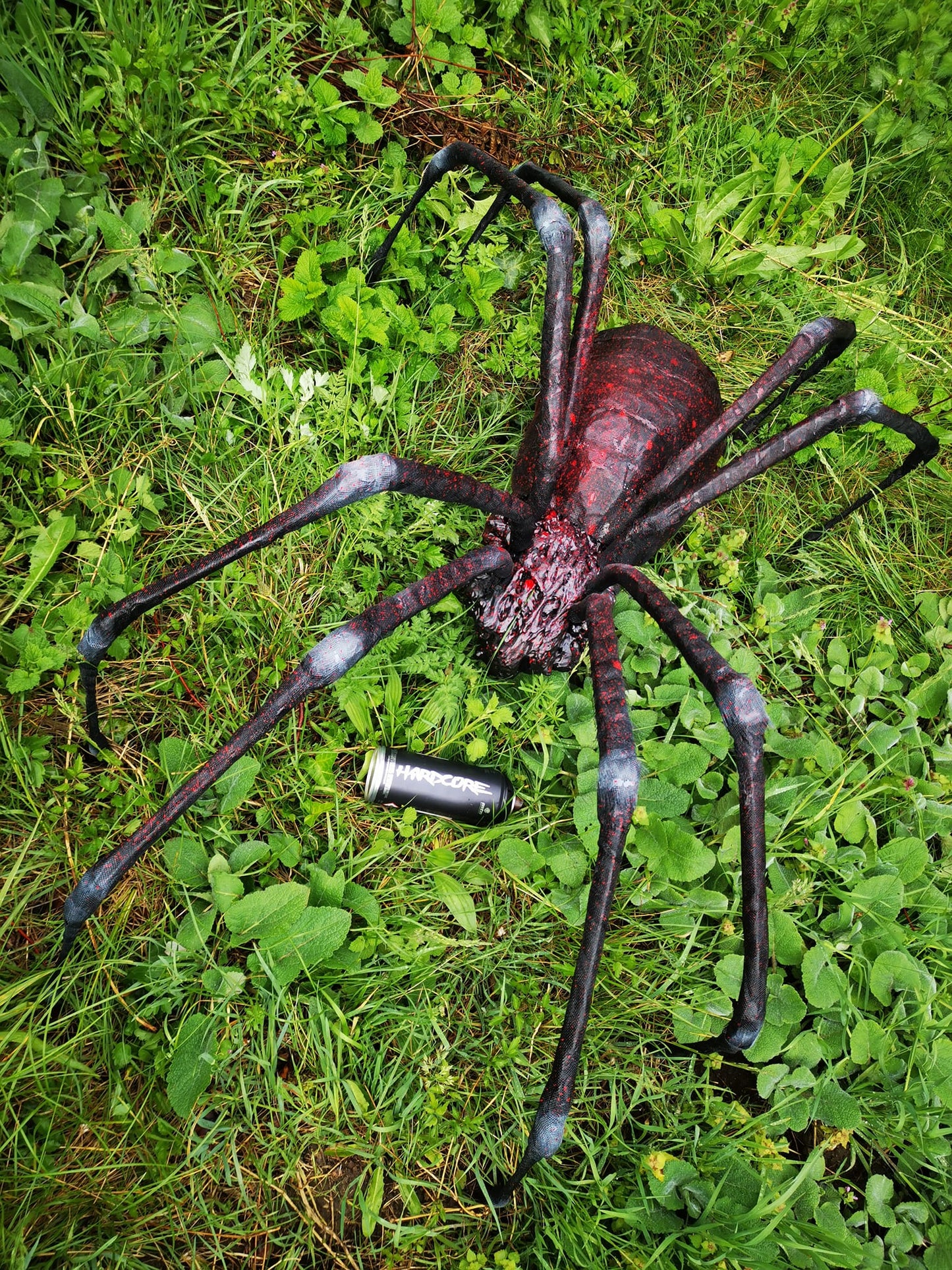 Spider