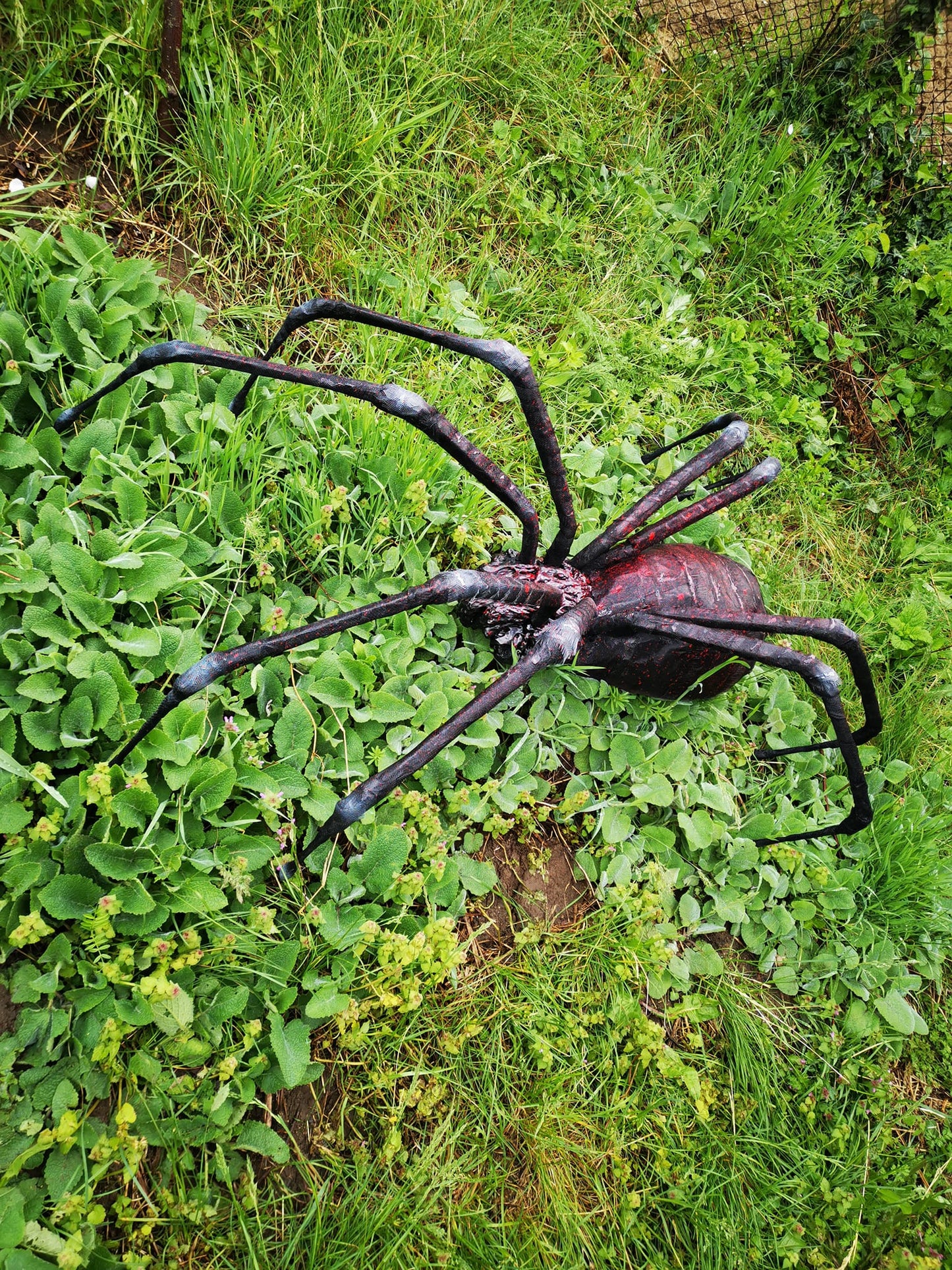 Spider