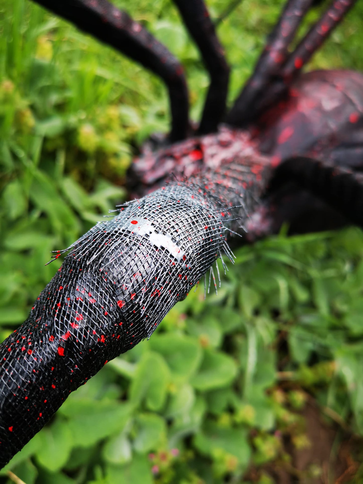 Spider