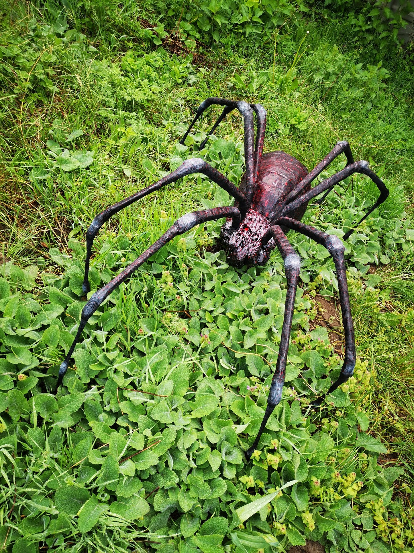 Spider