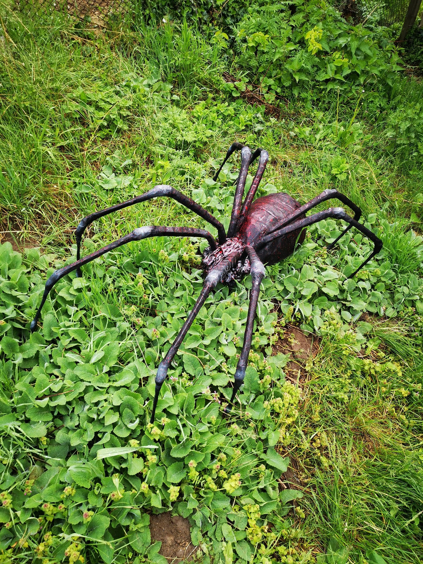 Spider