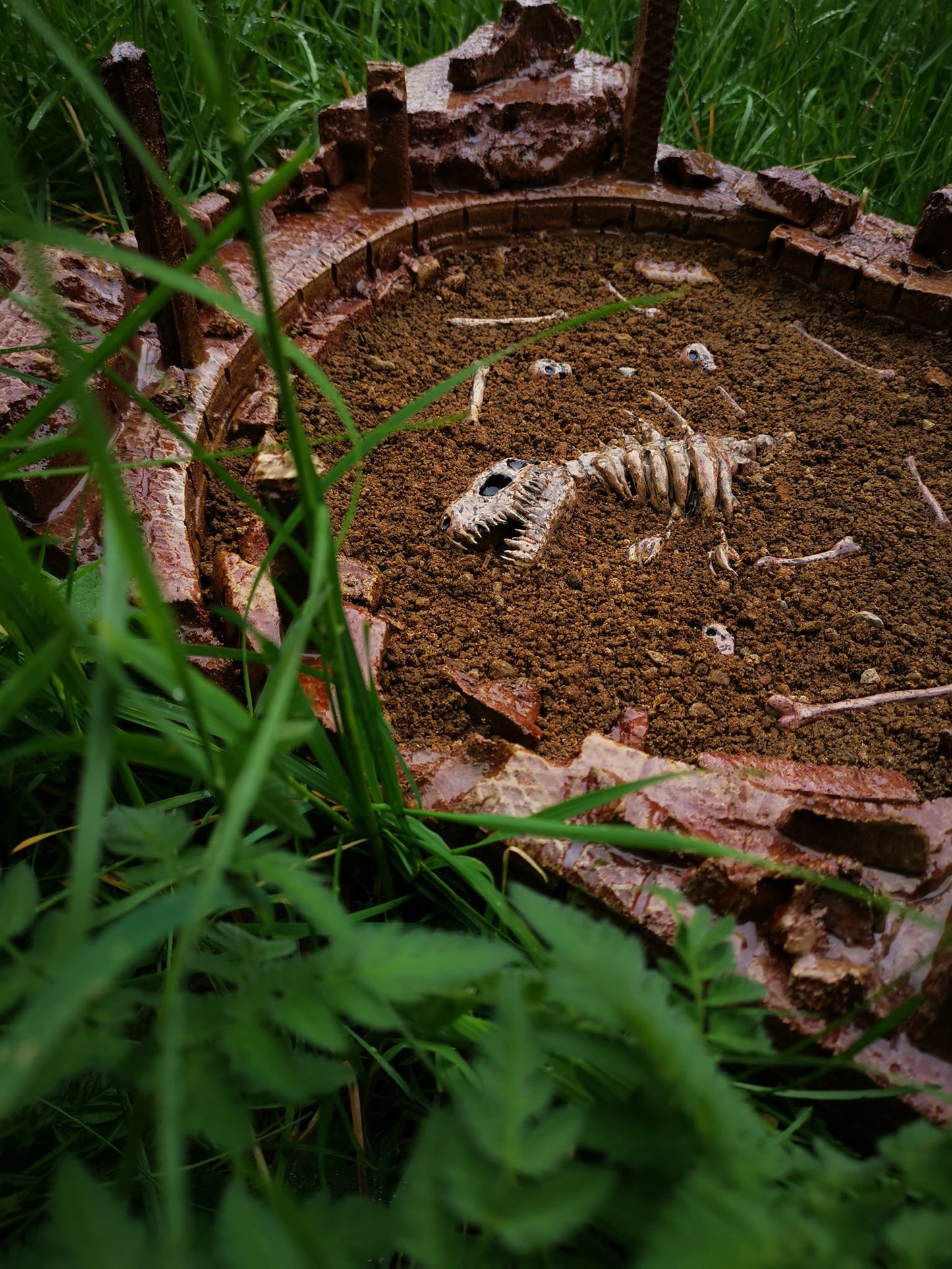 Bones