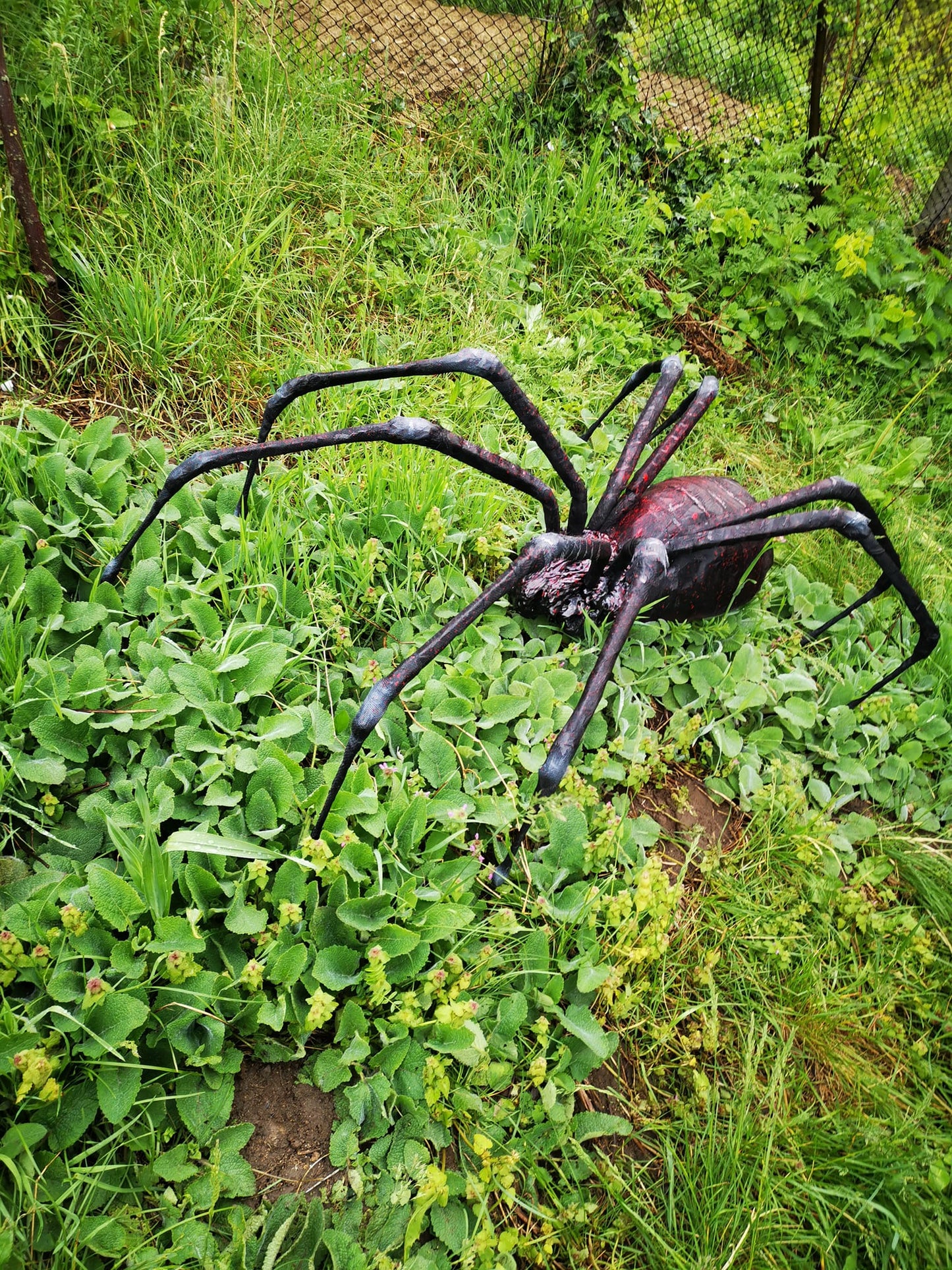 Spider