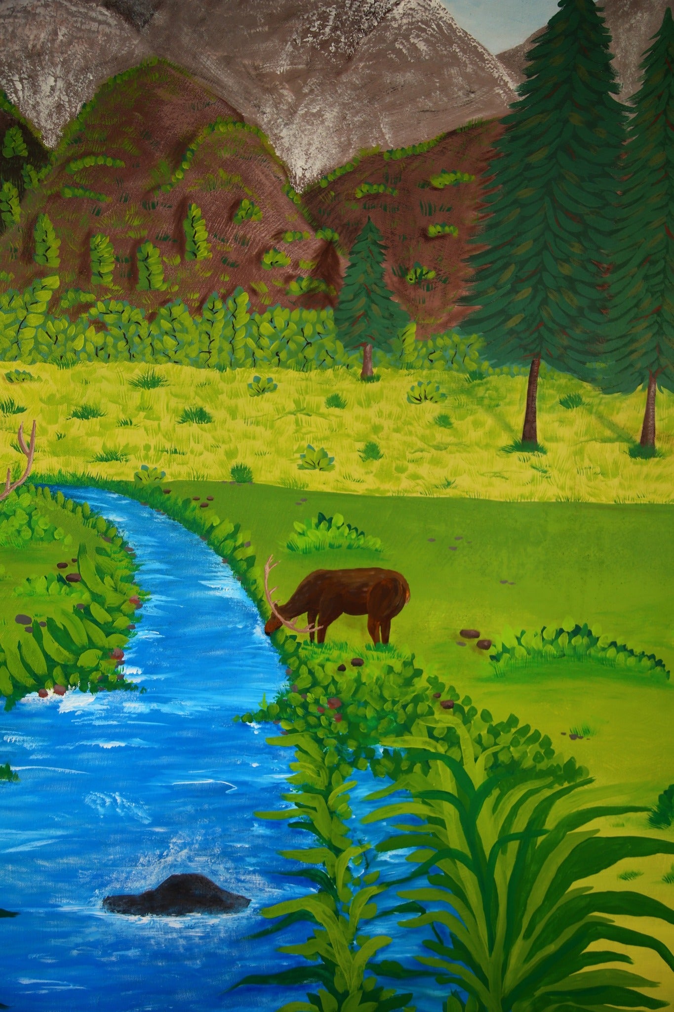Deers