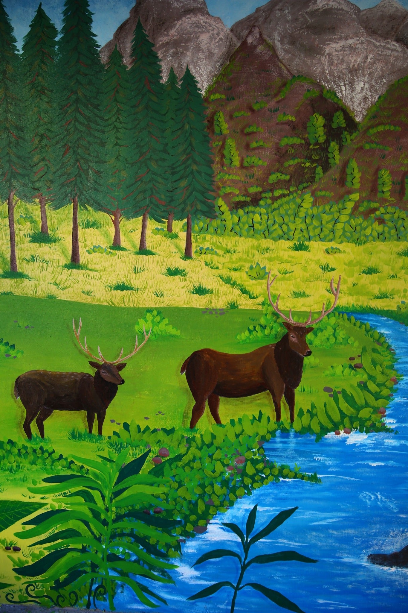 Deers