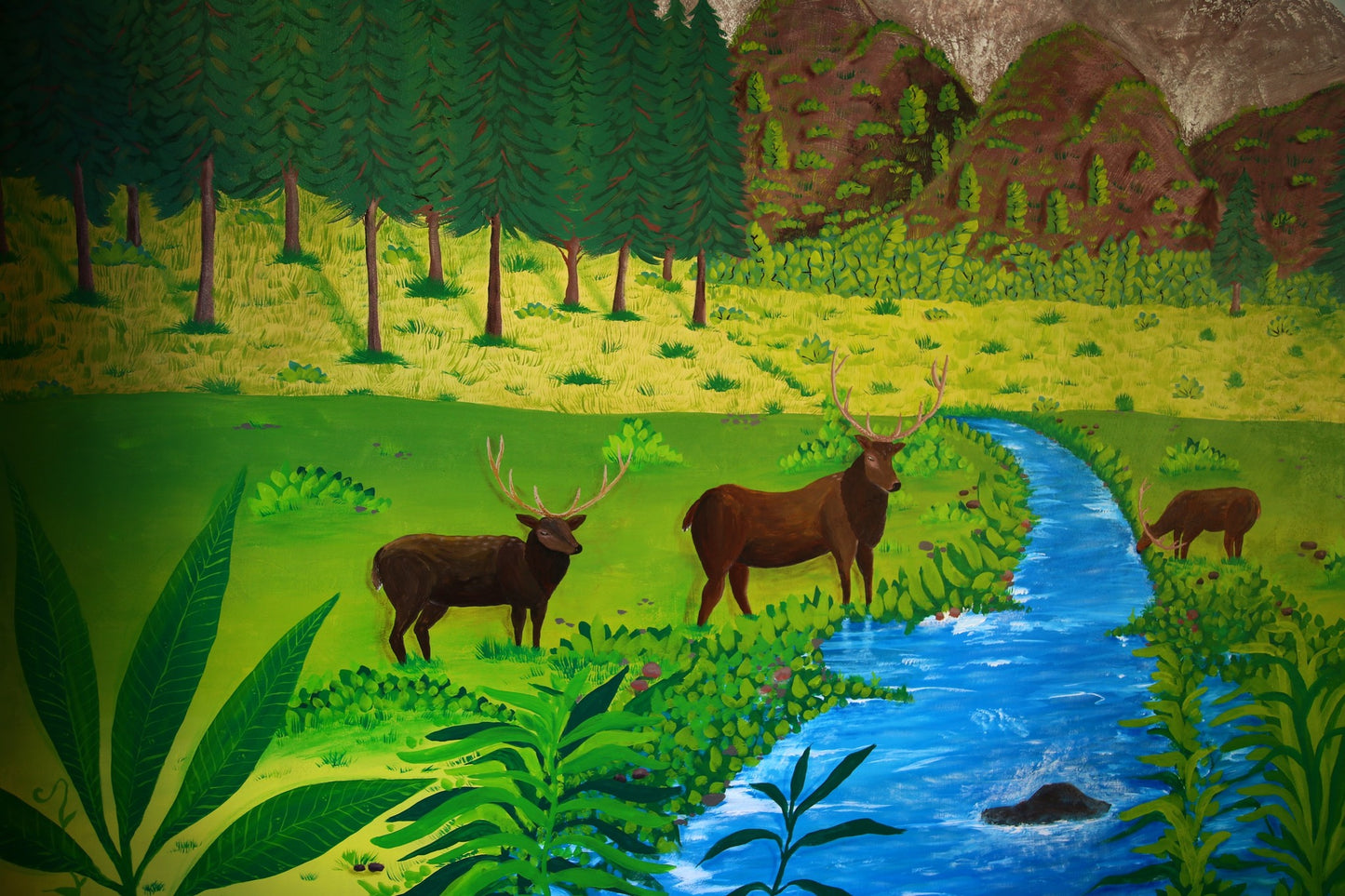 Deers