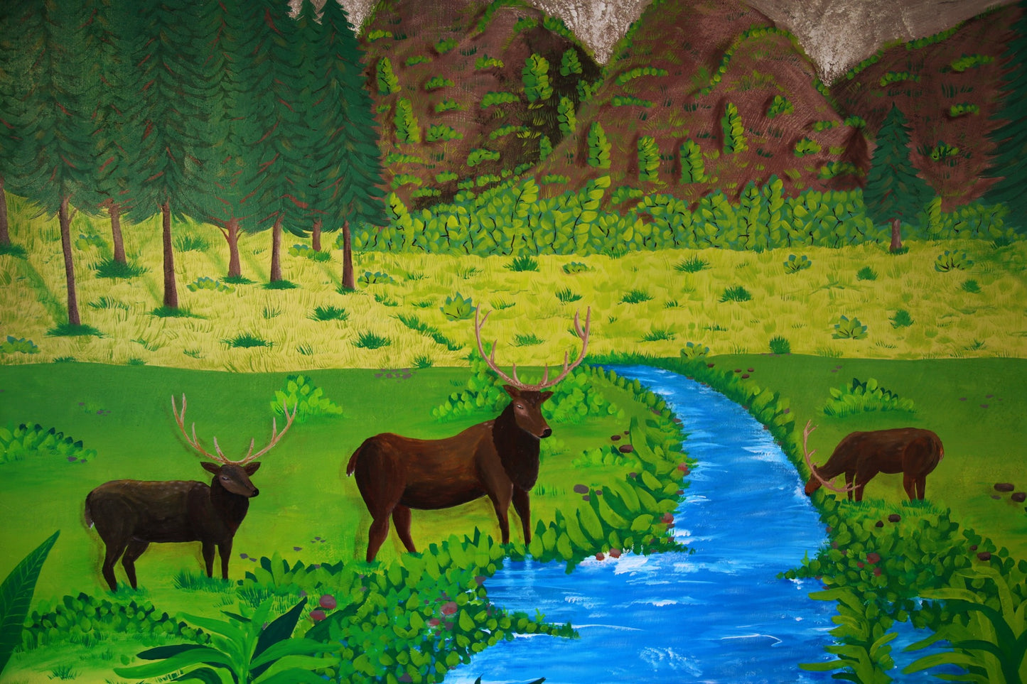 Deers