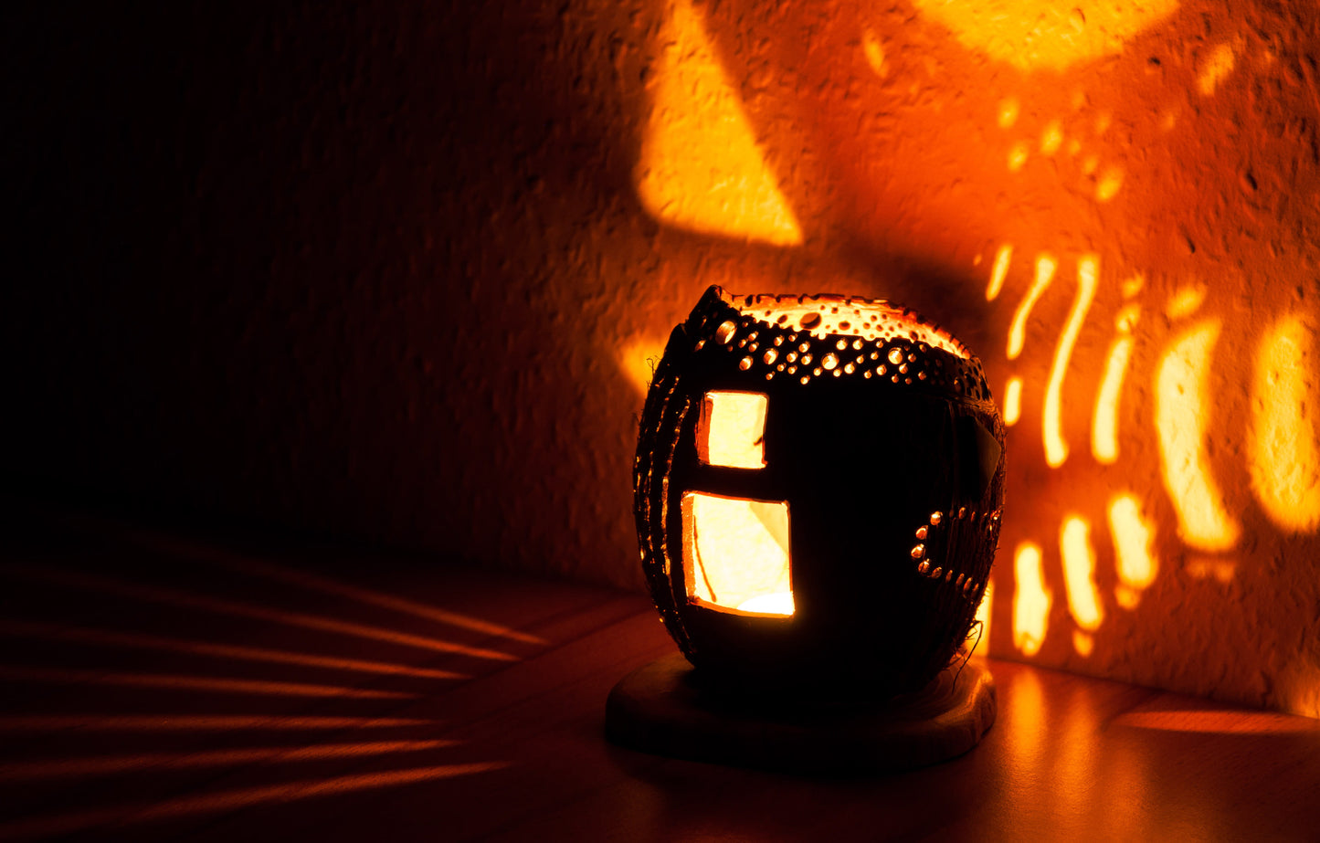 Coconut Bowl-Lamp 2