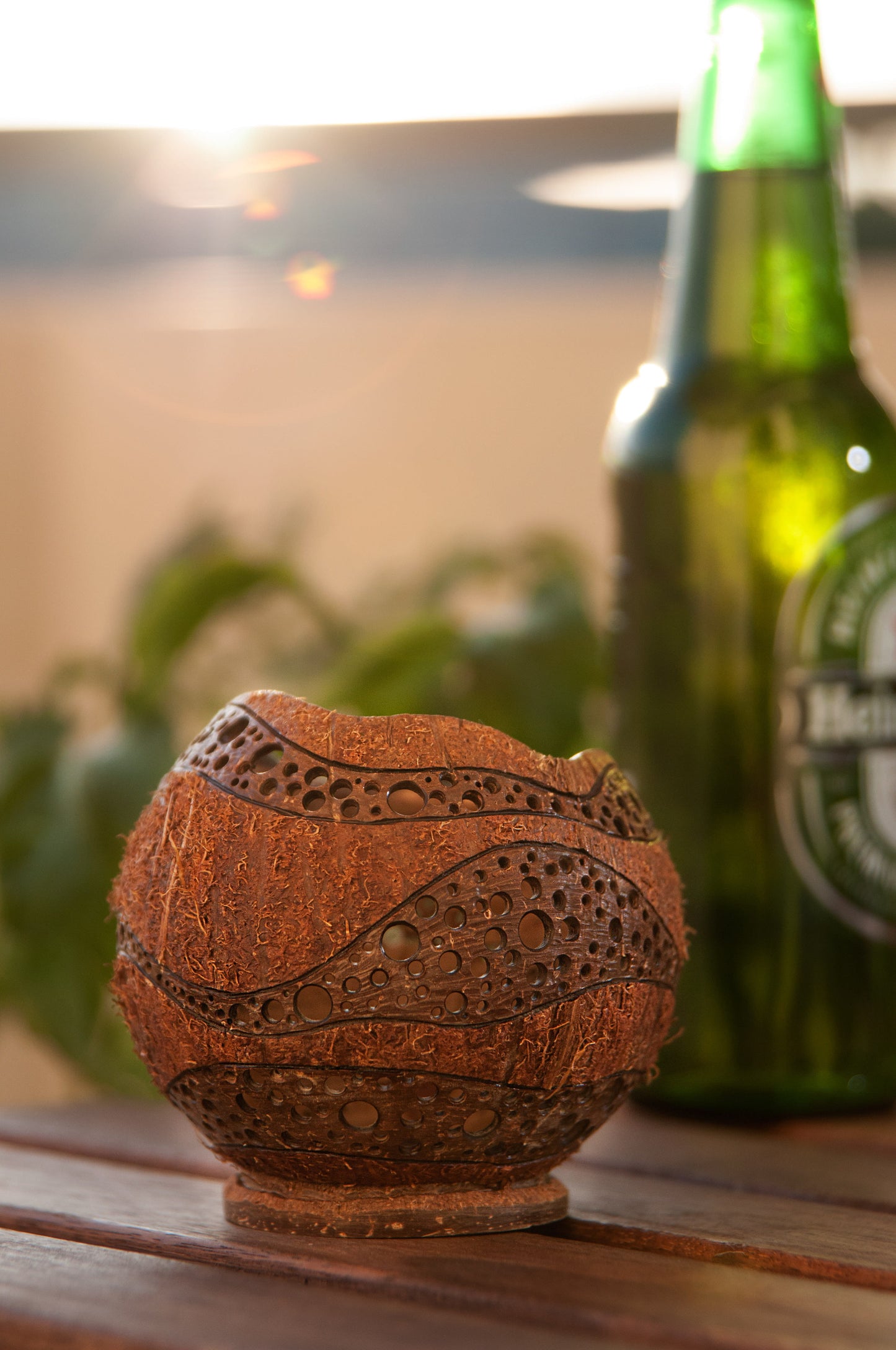 Coconut Bowl-Lamp 1