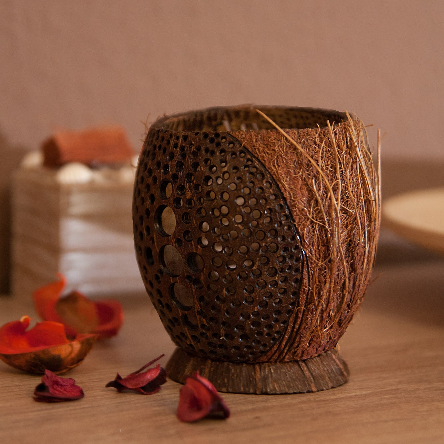 Coconut Bowl-Lamp 1